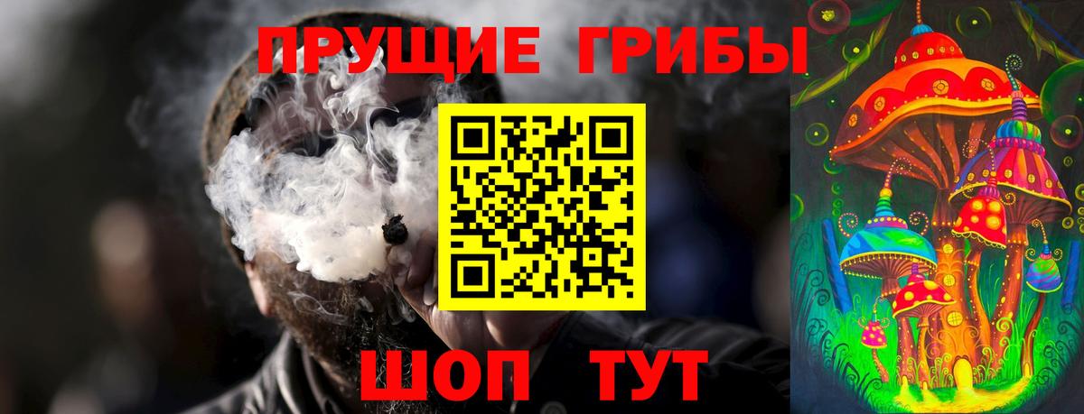 сколько стоит  Вход с VPN  Солнечногорск  Псилоцибиновые грибы Psilocybe 